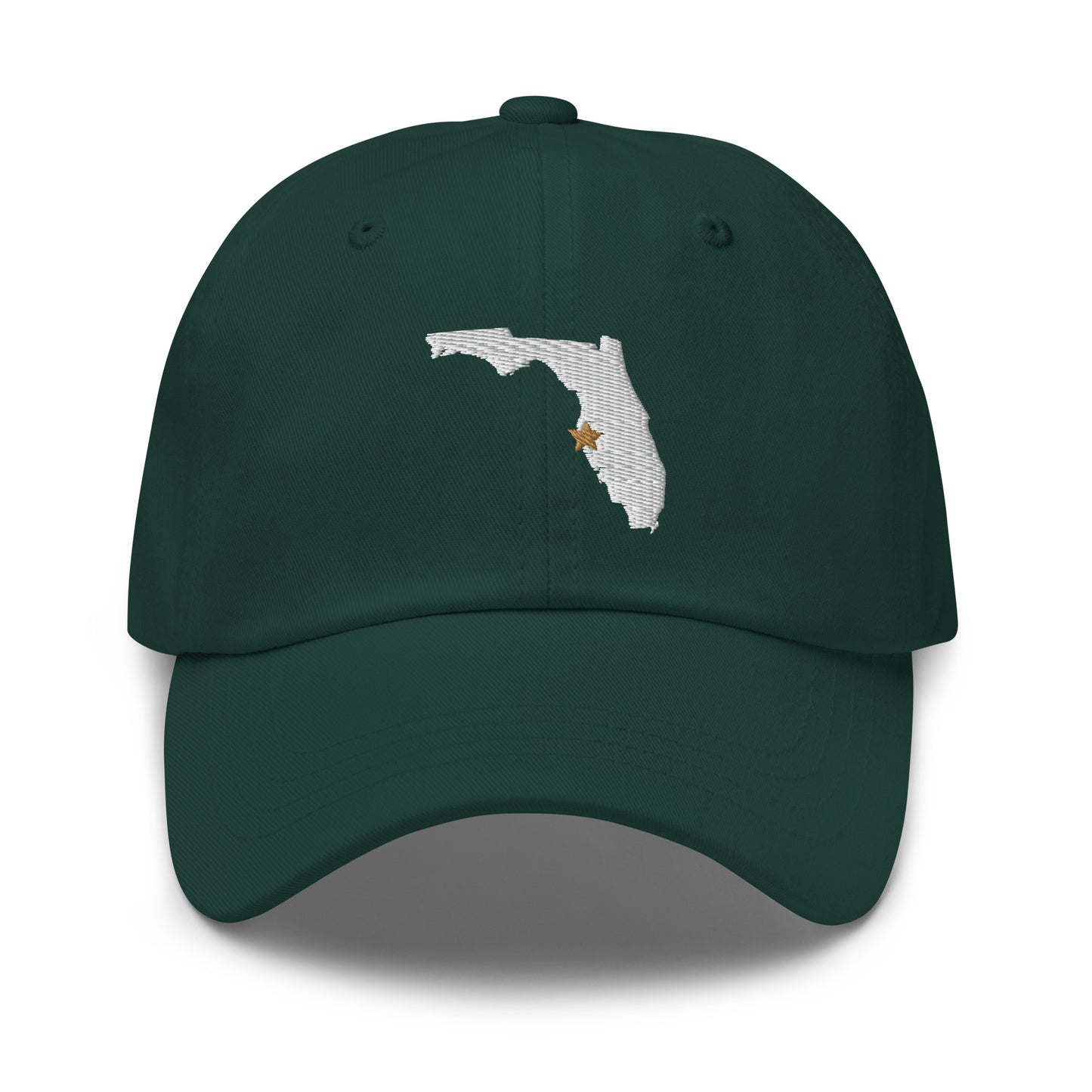 Tampa Bay Dad Hat